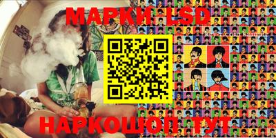 гидропоника Будённовск