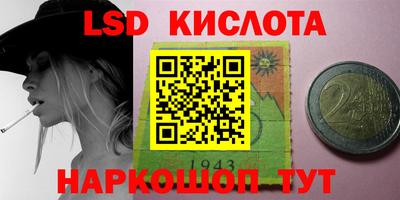 гидропоника Будённовск