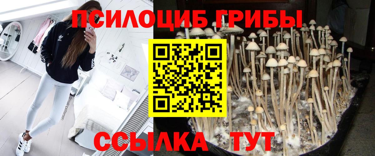 Галлюциногенные грибы мицелий Полысаево