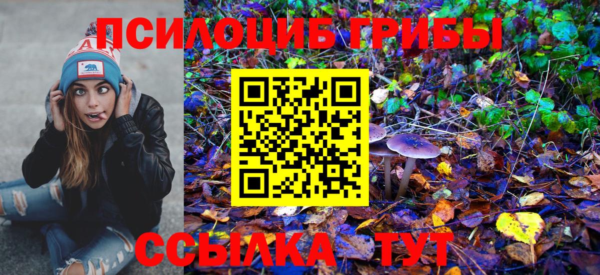 Полысаево  Псилоцибиновые грибы прущие грибы  Вход с VPN  Галлюциногенные грибы MAGIC MUSHROOMS 